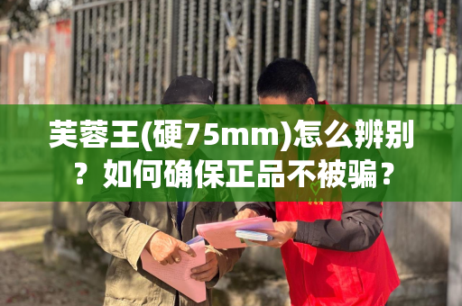 芙蓉王(硬75mm)怎么辨别？如何确保正品不被骗？
